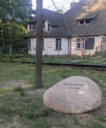 Gedenkstein Casperson Eiche